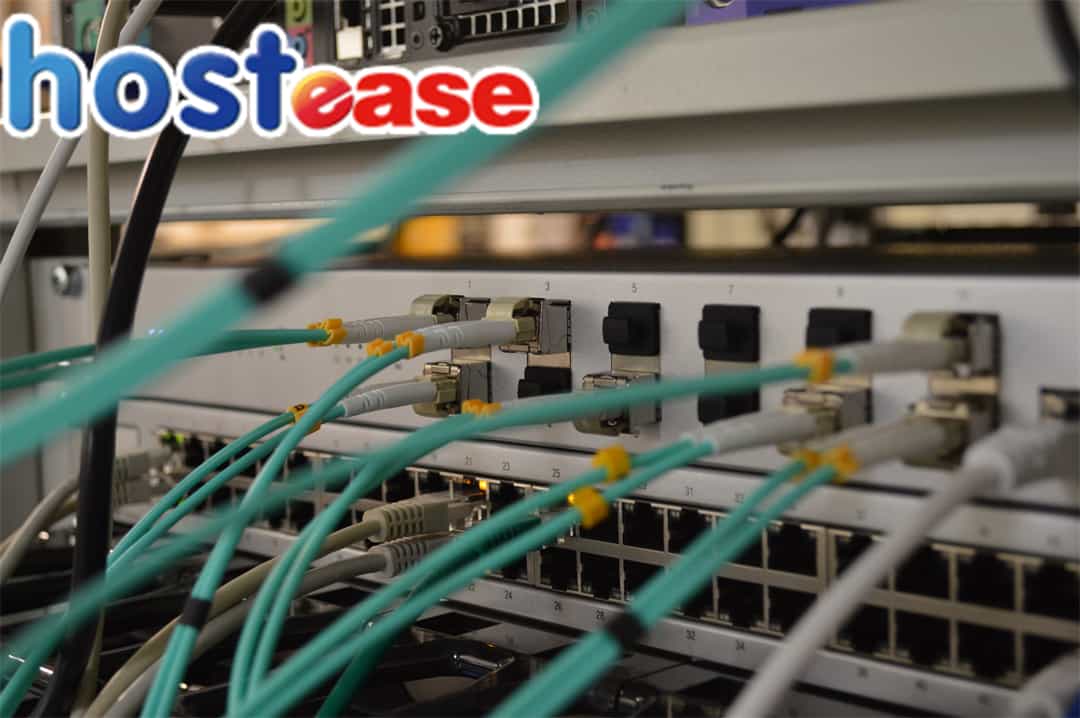 Explore Web Hosting Plans Tailored to Your Needs